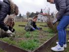 Projekt #U0160afran 2020 (31)