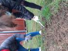Projekt #U0160afran 2020 (44)
