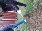 Projekt #U0160afran 2020 (45)
