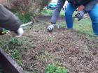 Projekt #U0160afran 2020 (52)
