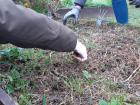 Projekt #U0160afran 2020 (53)