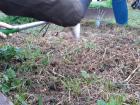 Projekt #U0160afran 2020 (54)