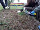 Projekt #U0160afran 2020 (56)