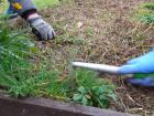 Projekt #U0160afran 2020 (58)