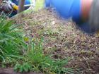 Projekt #U0160afran 2020 (61)