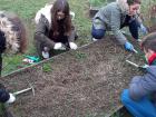 Projekt #U0160afran 2020 (65)