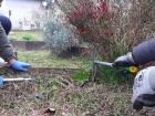 Projekt #U0160afran 2020 (67)