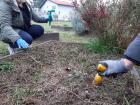 Projekt #U0160afran 2020 (70)