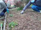 Projekt #U0160afran 2020 (89)