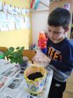 Dan Sunca (2)