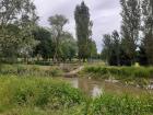 Setnja (26)