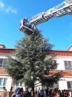 Boricu Moj Boricu  (2)