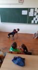 Glazbeno Scenska Skupina 2 A Razreda (9)