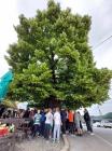Treci Razredi Napokon Na Izletu (3)
