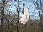 25. PO DRVEU VISE PLASTINE VREE