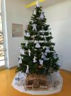29_2022-12-06_17-54-42-137