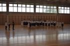 02_danplesa