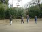 Sportske Igre