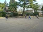 Sportske Igre