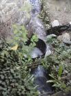 CAM01094
