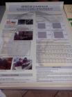 IMG_20140410_104619