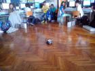IMG_20140429_132540