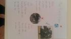 Ecology1