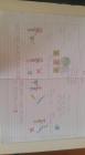 Ecology6