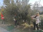IMG_20211025_111600