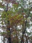 SAM_0447