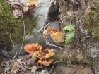 SAM_0465