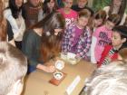 Prirodoslovlje 2013 (18)