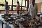 Novigradsko Proljee 2013 (10)