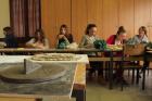 Novigradsko Proljee 2013 (9)