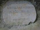 P1050601