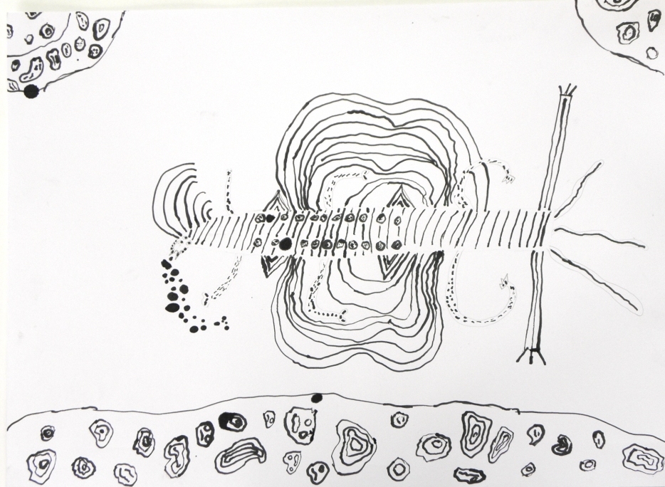 udovite iz pernice - Tomislav S.,  5.a