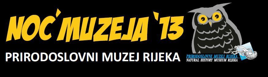No muzeja 2013