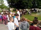 IMG_20150528_095322