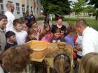 IMG_20150528_100958