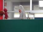 SAM_1591