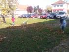 IMG_20151103_125726