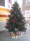Image00034