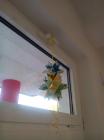 Image00047