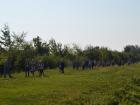 Image00005
