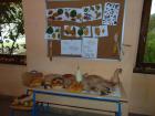 DSC01952