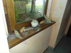 DSC01954
