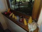 DSC01955