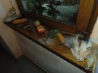 DSC01956