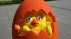 Image00006