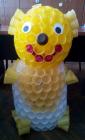 IMG_20140129_123447